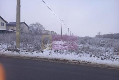 Teren Domnesti 12300 mp de vanzare sau asociere - 5