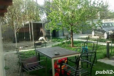 Casă cu 4 camere cu Teren 500 Mp în Tineretului - 4