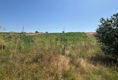 Teren intravilan, 5000 MP, Isalnita - 1