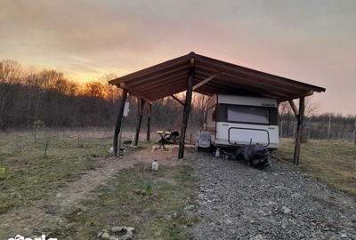 Teren de 7392 mp, în Burjuc - 2