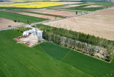 Spațiu industrial, de 5,000 mp, în Tișița - 7