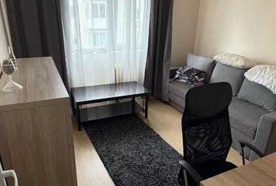 Apartament cu 2 camere decomandat în Micălaca - 4