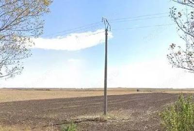 Teren extravilan cota parte 3/16 Amaru, ID: R2764932 - 4