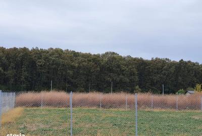 Spațiu comercial, în Ghermănești