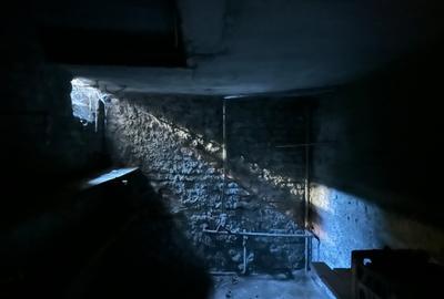VILĂ SUPERBĂ DE VÂNZARE | ZONA GARA DE NORD | BIJUTERIE INTERBELICĂ - 31