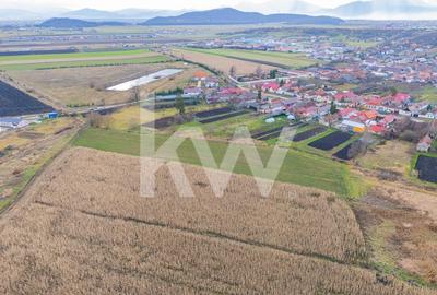 Teren 10000 mp in Extravilan, Bod, Brasov- COMISION 0% - 10