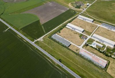 Teren Intravilan Investiții 11.600 mp Salonta - 8