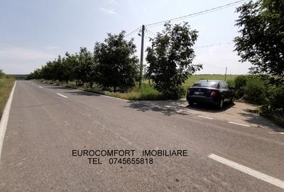 Teren Construcții intravilan de 1000 mp, în Schela
