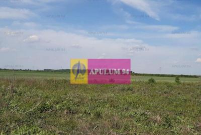 Teren de 3820 mp, în 1 Decembrie - 3