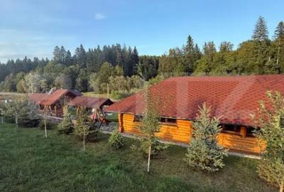 Casă cu 1 camere cu Teren 2800 Mp în Central - 16