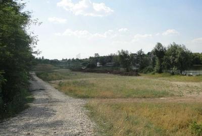 Teren Construcții intravilan de 7850 mp, în Snagov - 2