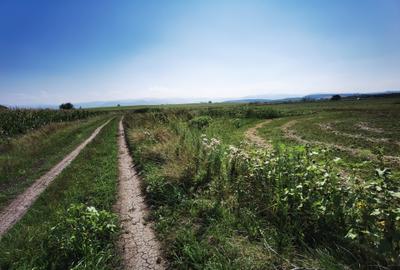 Oportunitate : Teren 3257 mp în Zona West, Aproape de Autostrada Oportunitate : Teren 3257 mp în Zona West, Aproape de Autostrada - 10