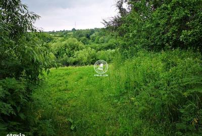 Spațiu comercial, în Grajduri