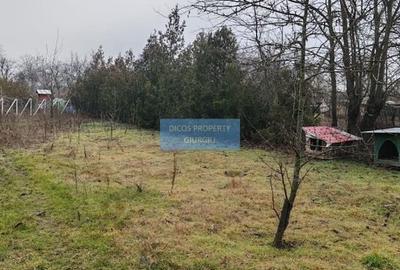 Teren 2.600 mp, utilități, Str. Merișor – Giurgiu - 5