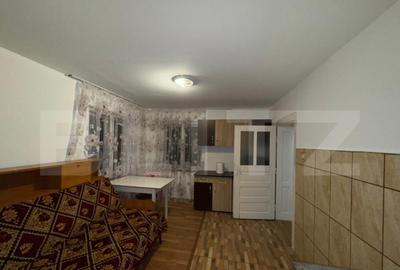 Casa cu 4 camere, 117 mp, teren generos de 5594 mp, in Crisc - 7