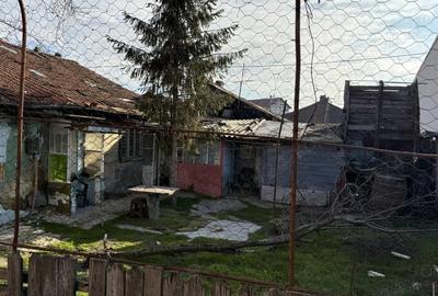 Casă în Brestei - 2