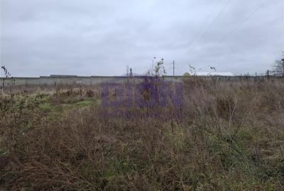 Teren  intravilan langa padure - 2