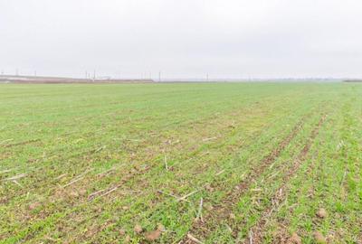 CERNICA - POSTA - TEREN INTRAVILAN CONSTRUCTII 15000 MP! - 8