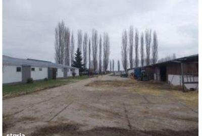 Spațiu comercial, de 91,412 mp, în Jebel - 19