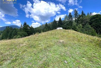 Teren  intravilan Colibita 2300 mp panoramic - 6