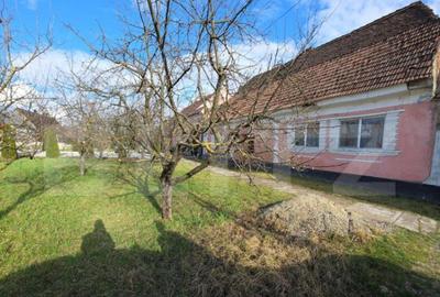 Casa saseasca de vanzare, Livezile - 10