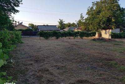 Spațiu comercial, în Nord - 2