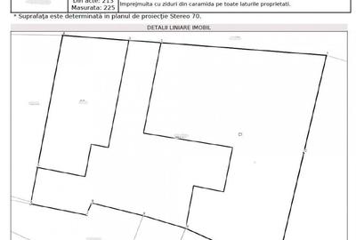 Vila interbelica de excep?ie utilizare mixta Ultracentral Odobe?ti - 8