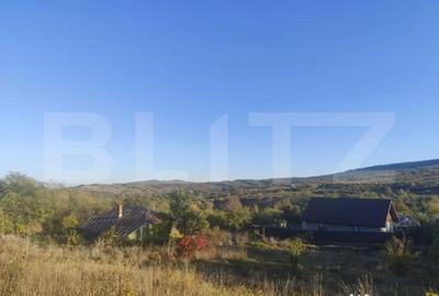 Teren de 2700 mp, în Tomești - 2