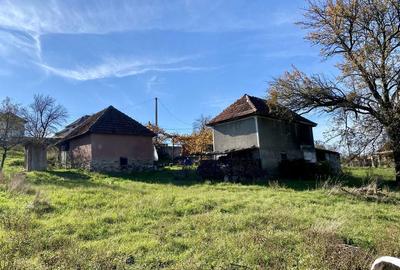 Casă cu 4 camere cu Teren 3400 Mp în Cornițel - 6