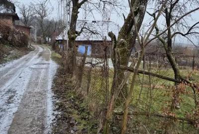 Teren de 2700 mp, în Coaș - 1