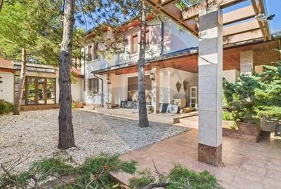 Vila spectaculoasa in Balotesti, curte 5000 mp si piscina interioara - 2