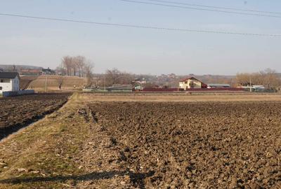 Spațiu comercial, în Ipotești - 2