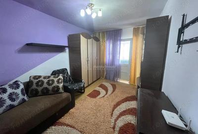 Caransebes, CHIRIE, 2 Camere, Pipirig - 8