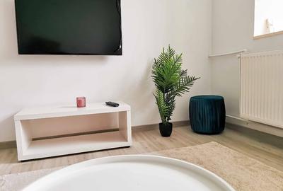 Apartament cu 2 camere semidecomandat în Calea Severinului - 8