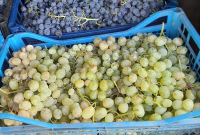 Casă cu 3 camere în Dumbrăveni - 3