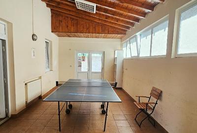 Proprietate multifunctionala,com.D-va Rosie,casa+sp.comercial+teren - 30