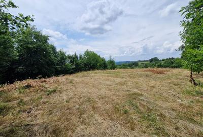 Teren Baia Sprie: 5143 mp, Parcelabil, Comision 0! - 4