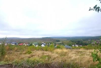 Teren de 774 mp, în Bârnova - 5