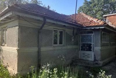 Casa de vanzare Casa de vanzare - 7