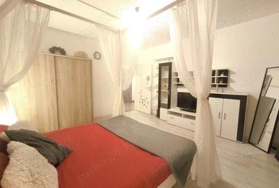 Studio modern ?i confortabil de inchiriat in Bra?ov - 4