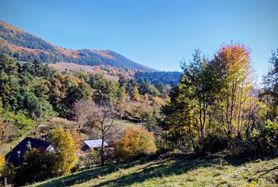 Teren 3600 mp la 5 min. Piatra Neam?, asfalt - 1