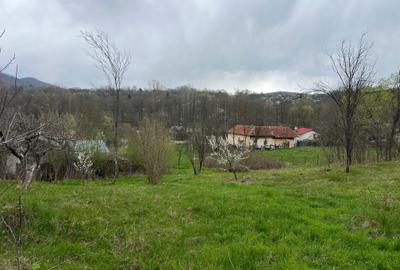 Teren de 2300 mp, în Valea Lungă - 5