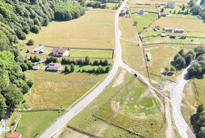 Spațiu comercial, în Plaiul Foii - 1