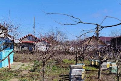 Spațiu comercial, în Limanu - 4