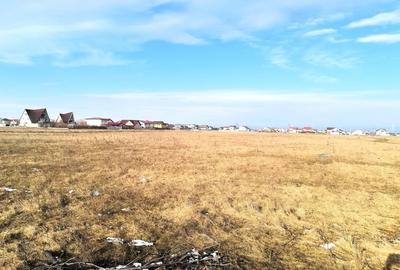 Vanzare teren intravilan Magurele / 2.500 mp / D: 17.55 m - 5