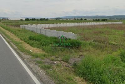 Teren Construcții intravilan de 2500 mp, în Mihăești - 1