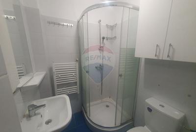 Apartament de inchiriat 4 cam in zona Stefan cel Mare - 7