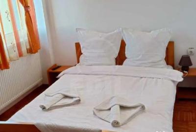 Casă cu 10 camere cu Teren 125 Mp în Lupeni - 6