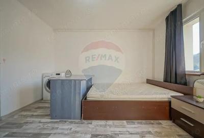 Garsonieră semidecomandată în Bartolomeu - 9