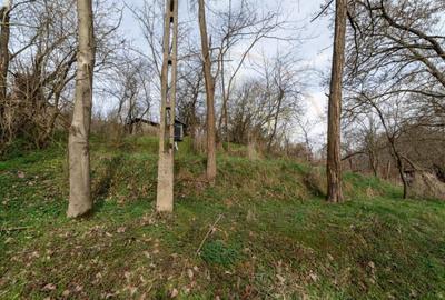 Teren de vanzare 1221 mp in Budeasa Mica, zona lini? Teren de vanzare 1221 mp in Budeasa Mica, zona lini? - 1